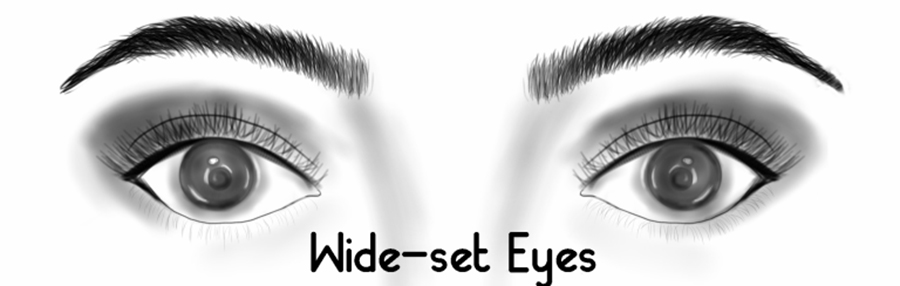 wide set eyes vs close set eyes